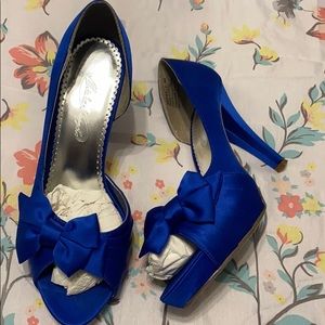 Beautiful Blue Michaelangelo heels